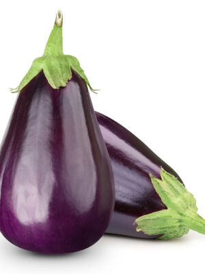 fresh-organic-brinjal-purple-big-procured Odio Pellentesque