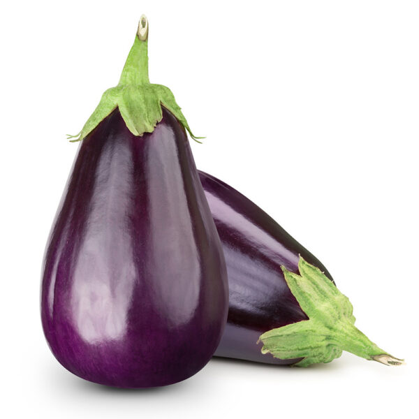 fresh-organic-brinjal-purple-big-procured Odio Pellentesque