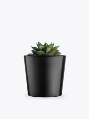 product-image-3_optimized Augue Neque