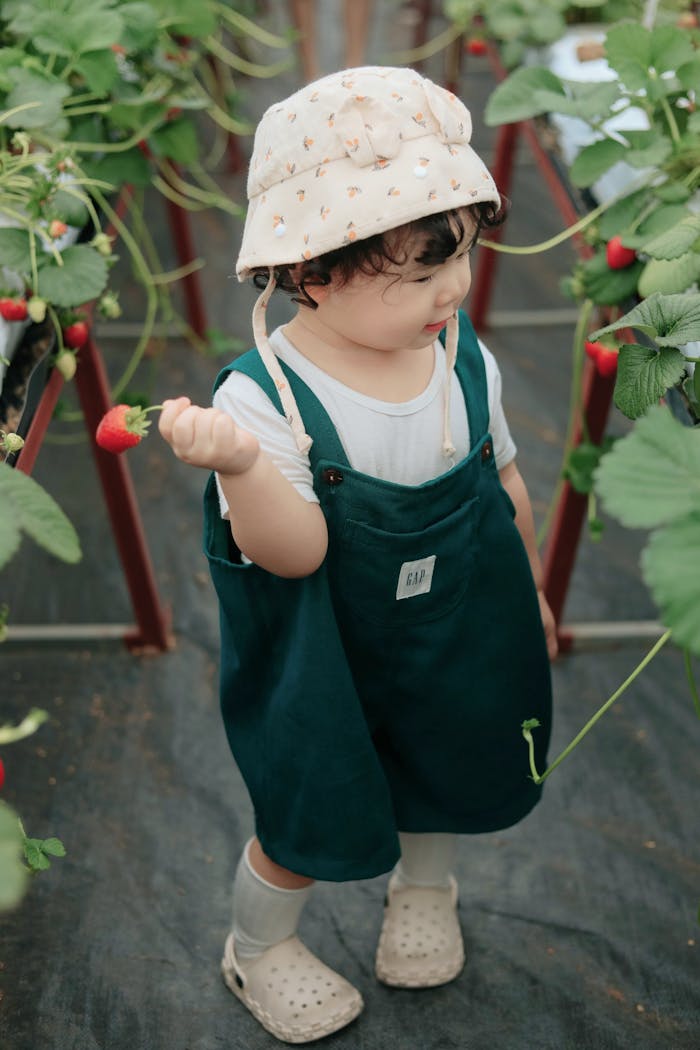 Cute child holding a strawberry in a Vietnamese greenhouse, showcasing agriculture and freshness.